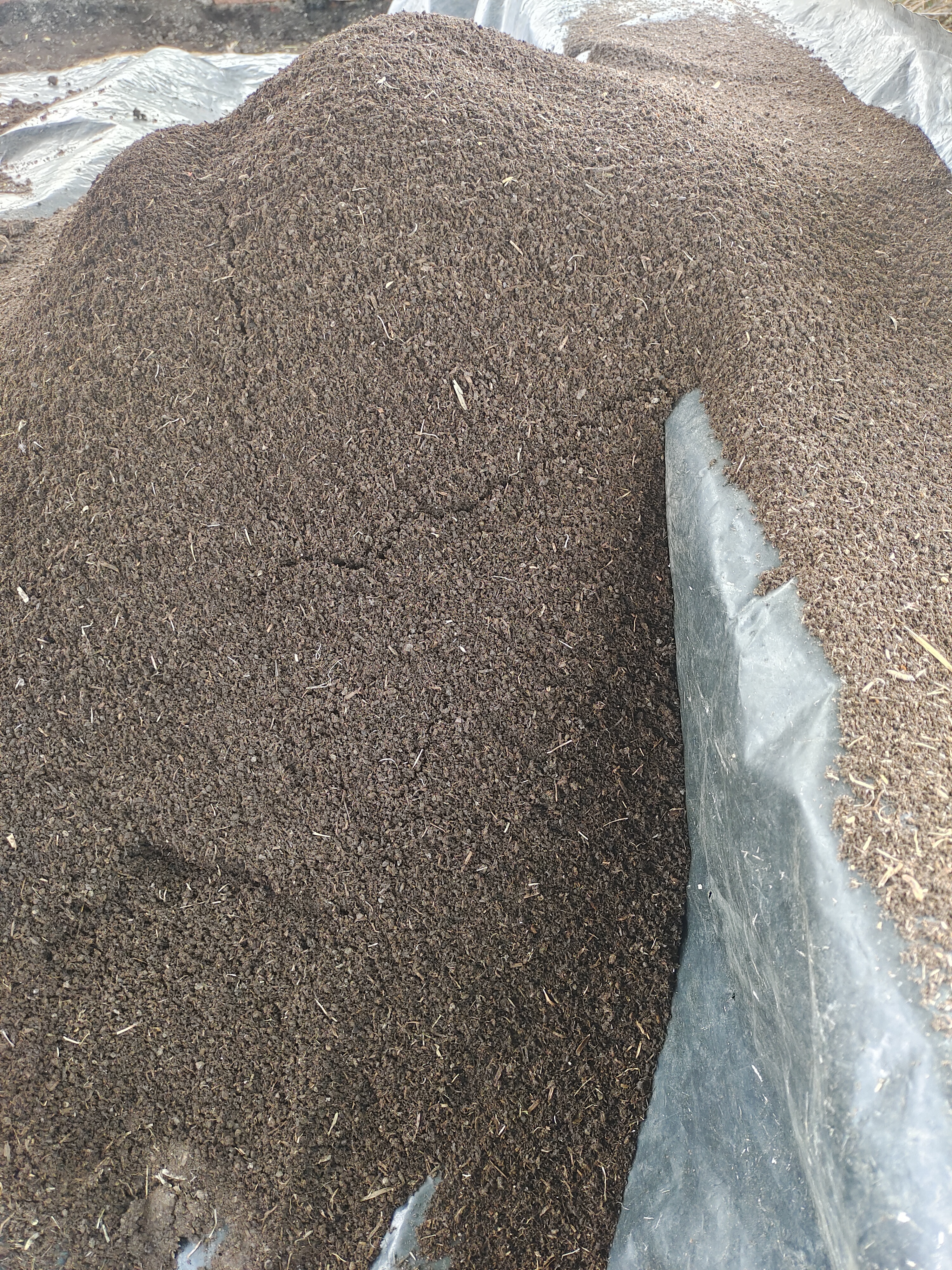 varmicompost 