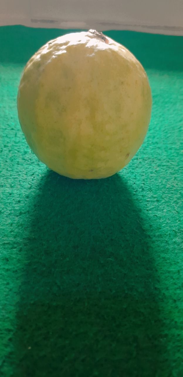 thumb-1