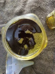 Sarso oil