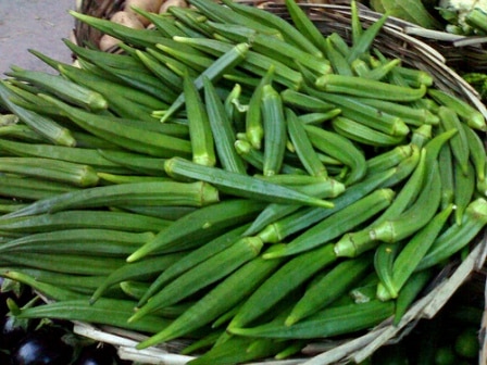Bhindi (भिन्डी)