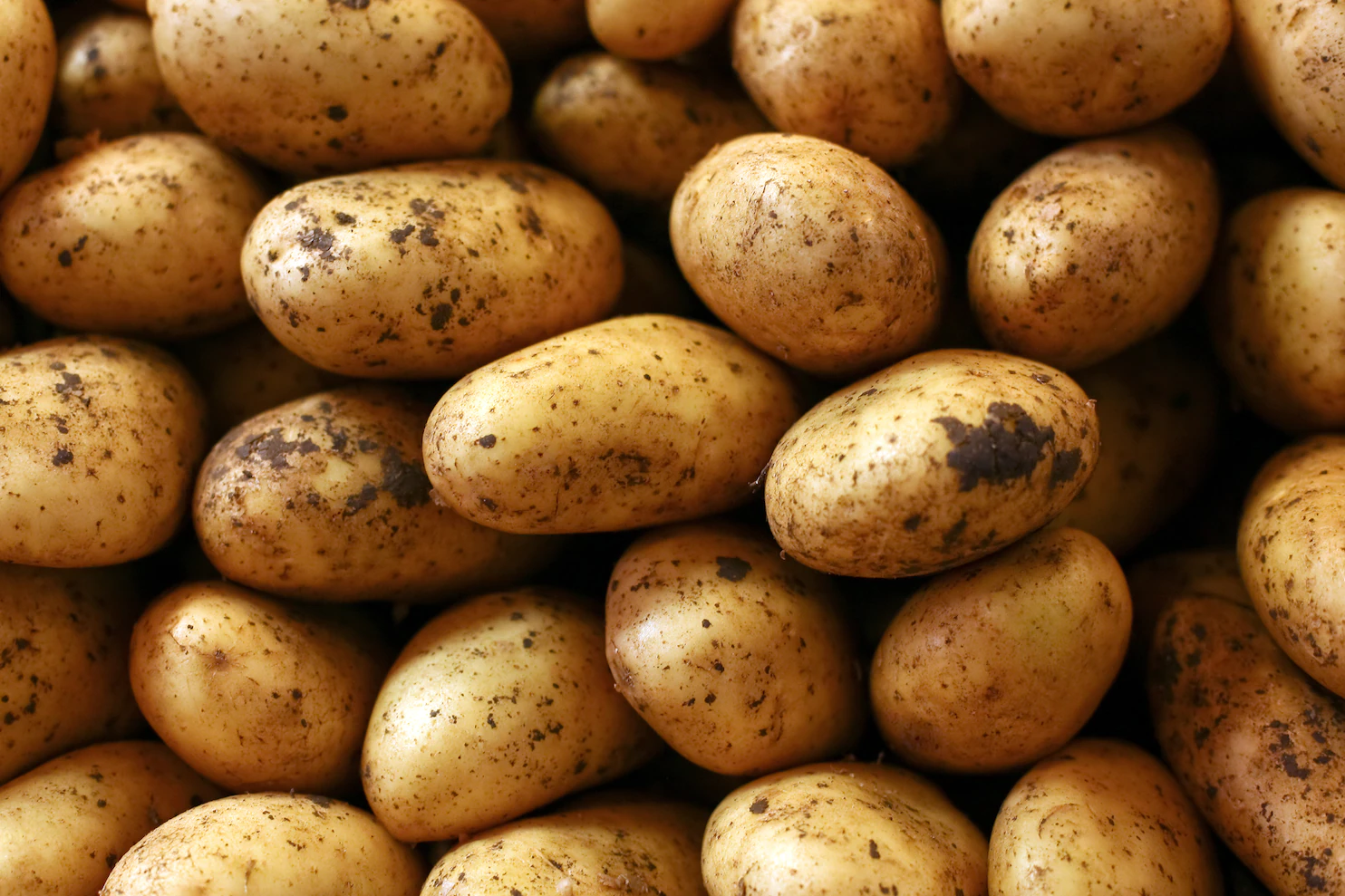 Patato (आलू )