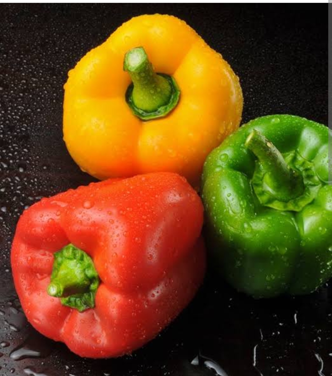 Net House Capsicum