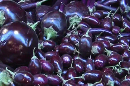 Baigan (बैगन)