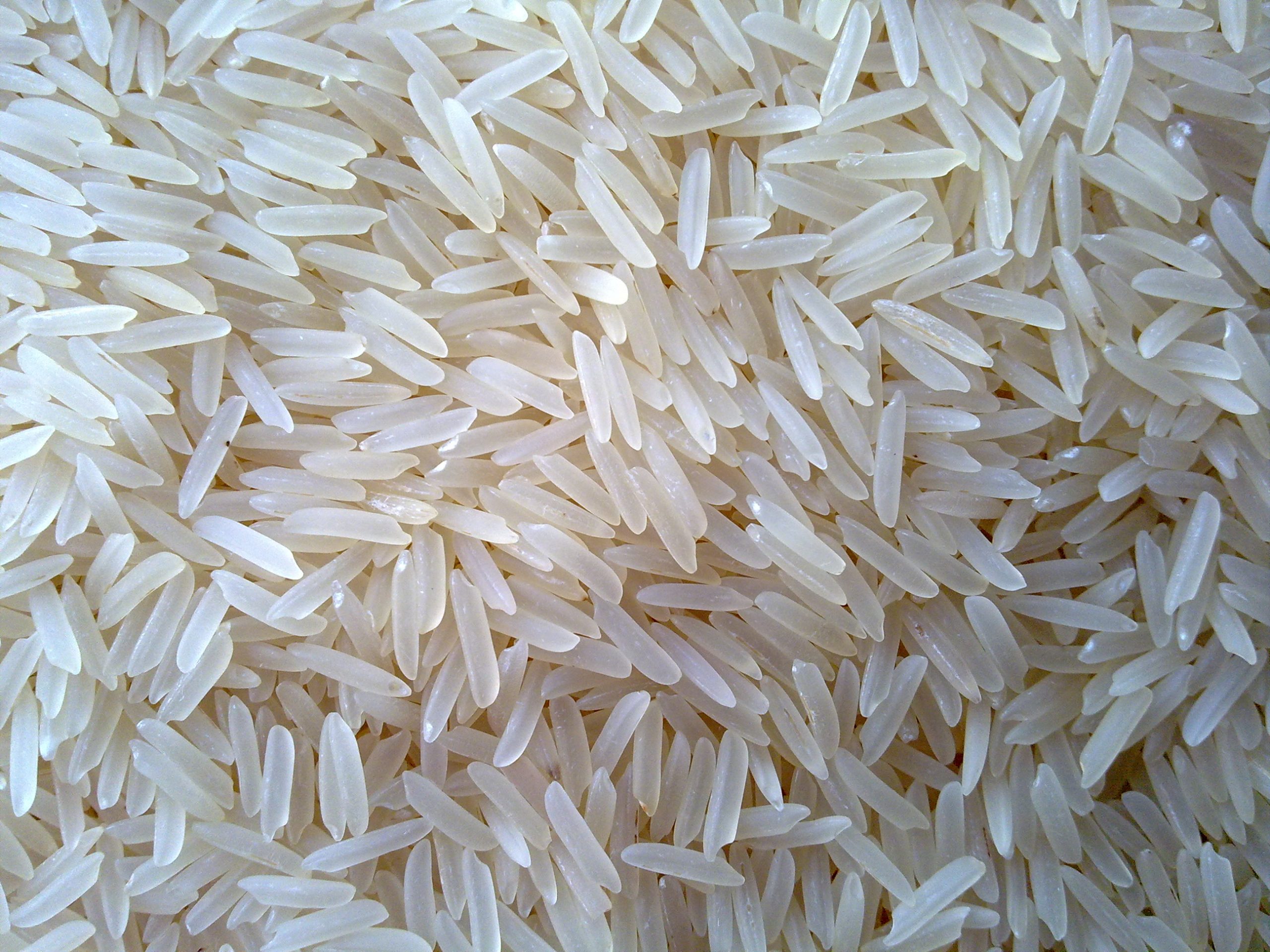 Basmati Rice (चावल)
