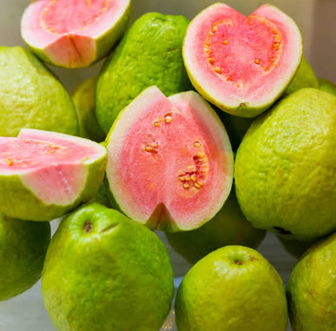 guava