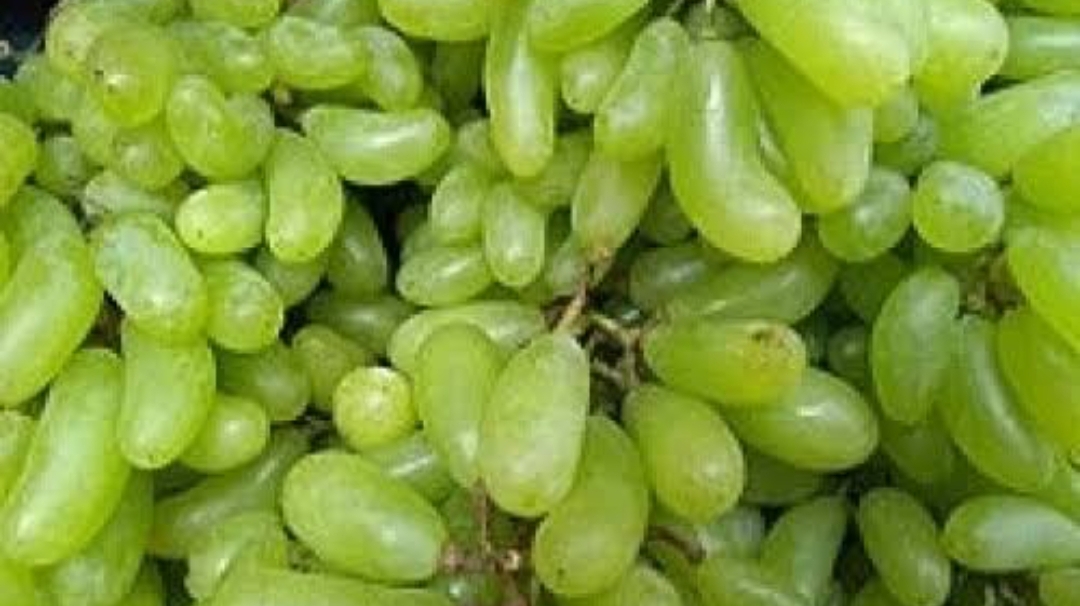 grapes