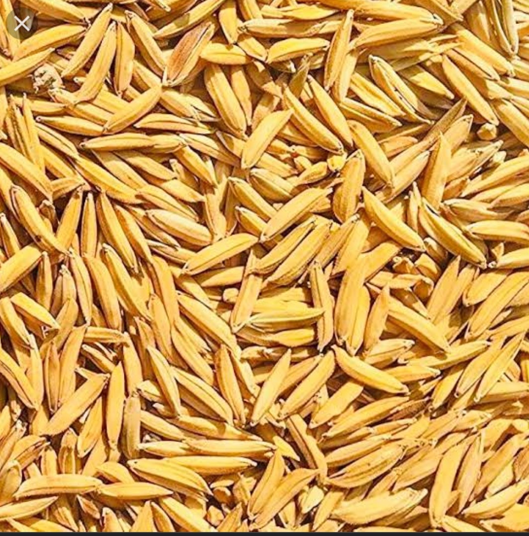 Rice basmati