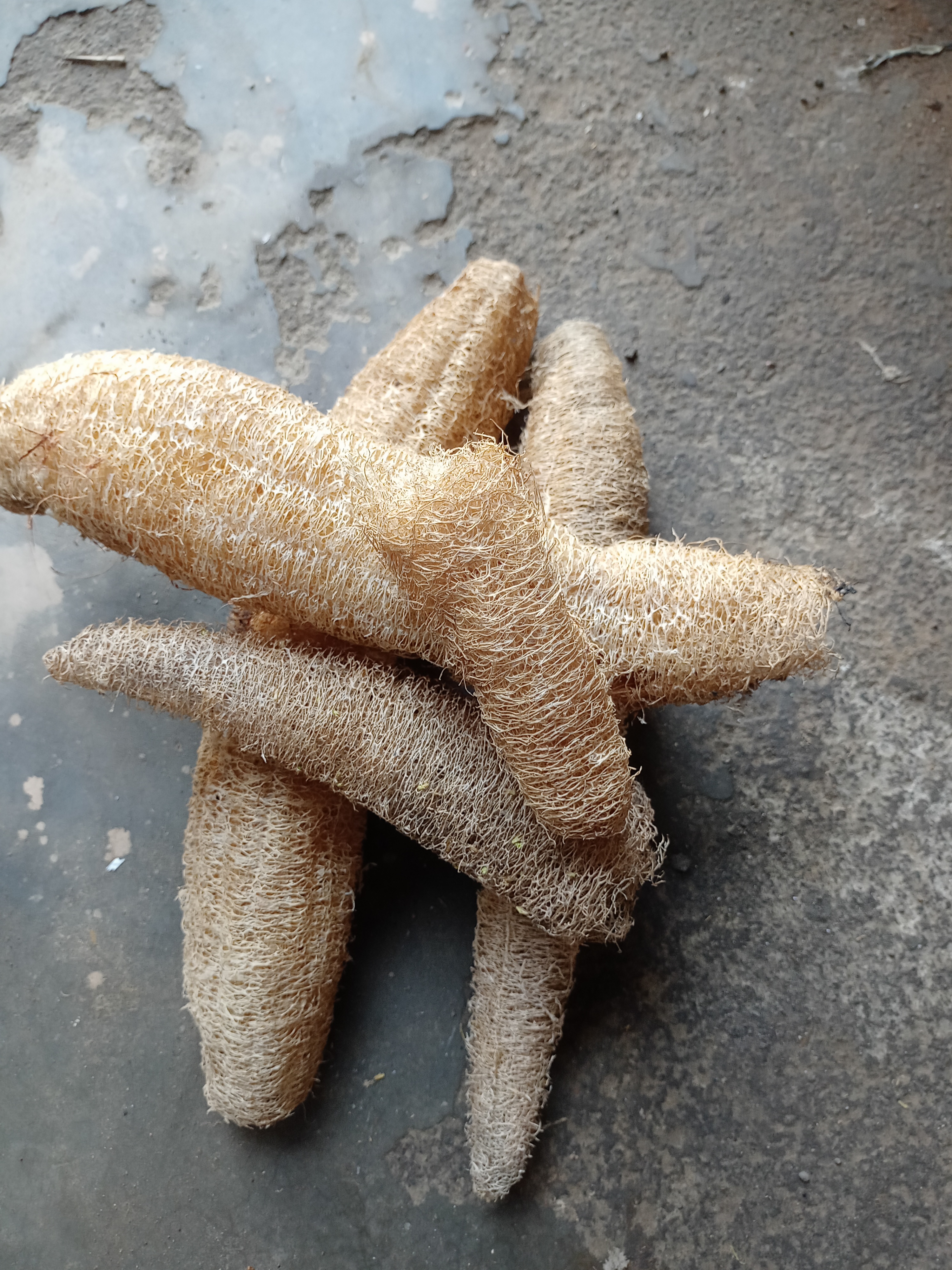 organic scrub देसी जूना 