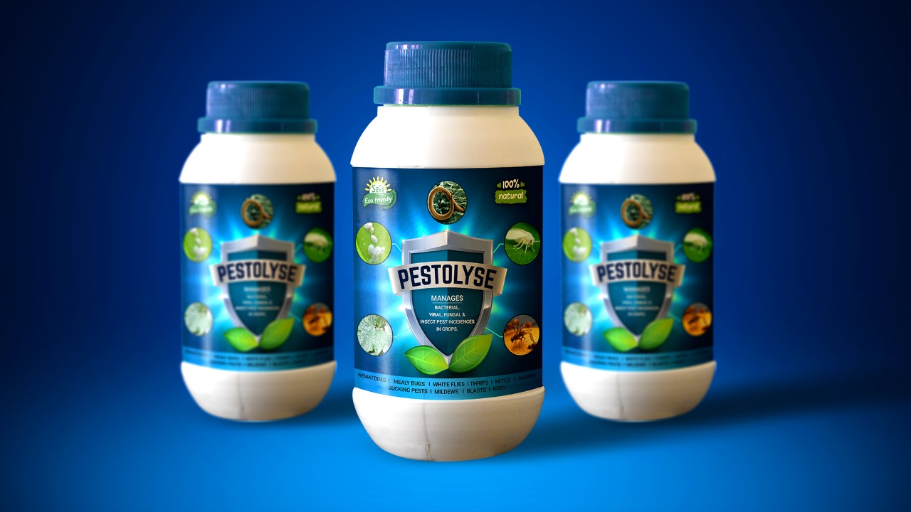 Pestolyse