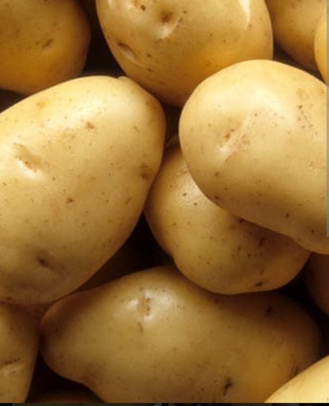 potato 