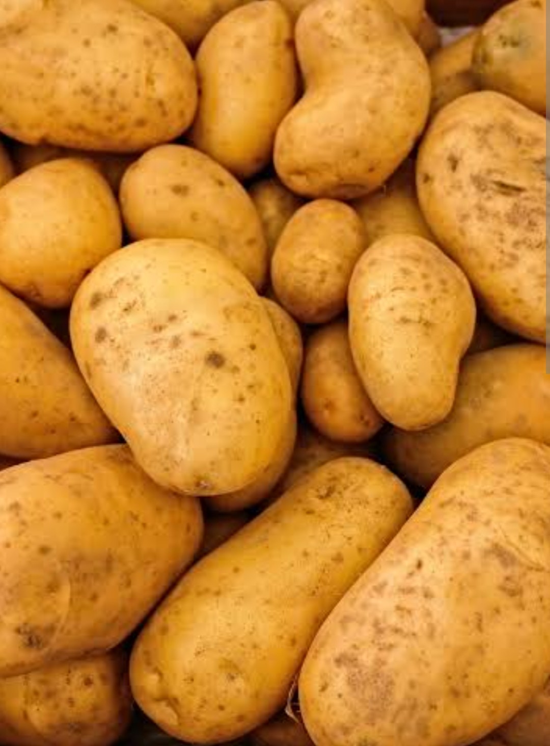 potato 