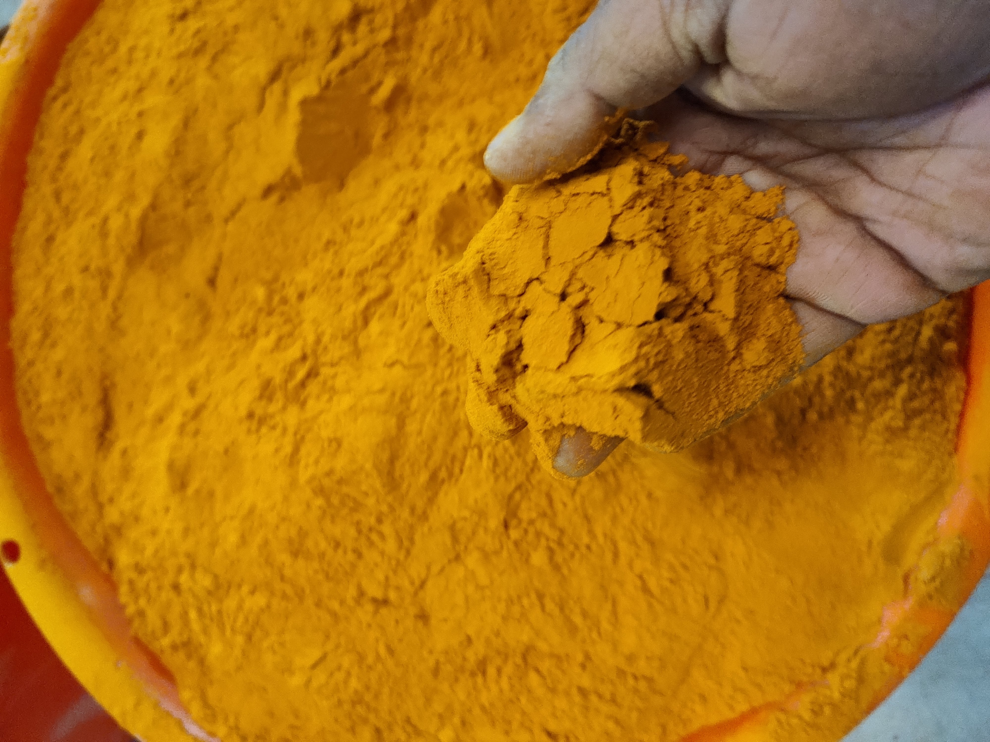 Turmeric Powder