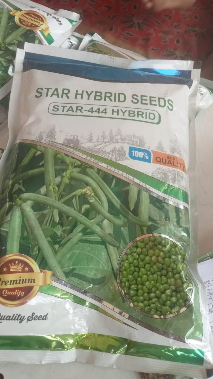 star 444 hybrid seed