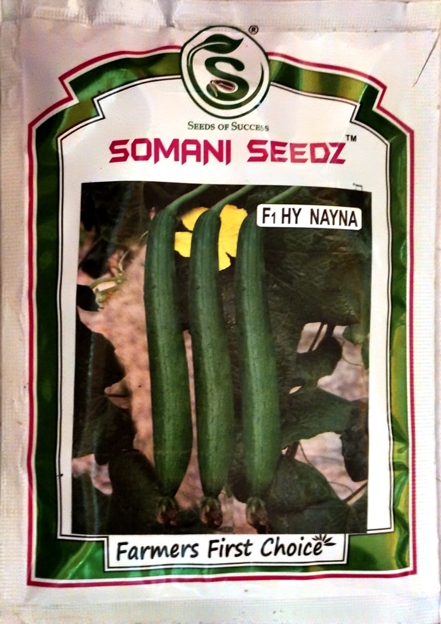 somani seedz