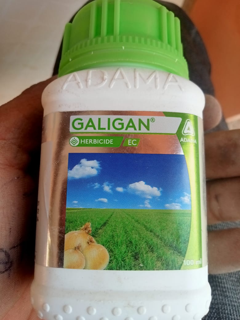 Galigan