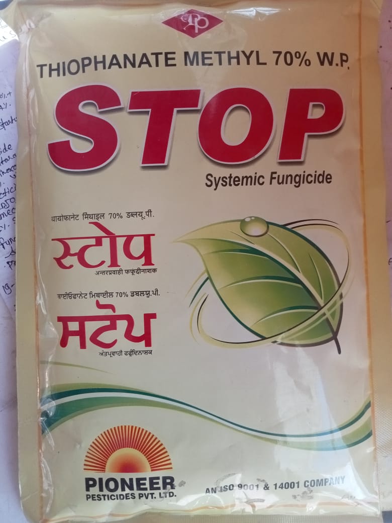STOP