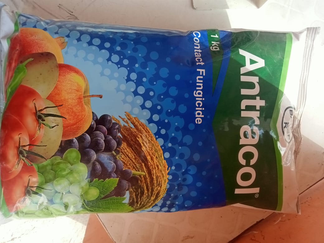 Antracol