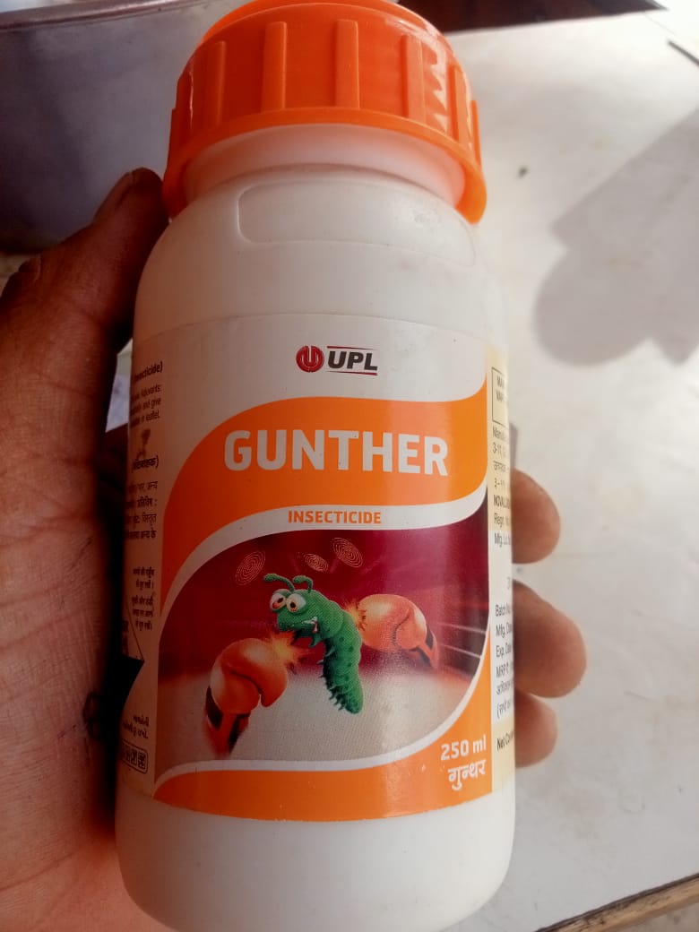 Gunther