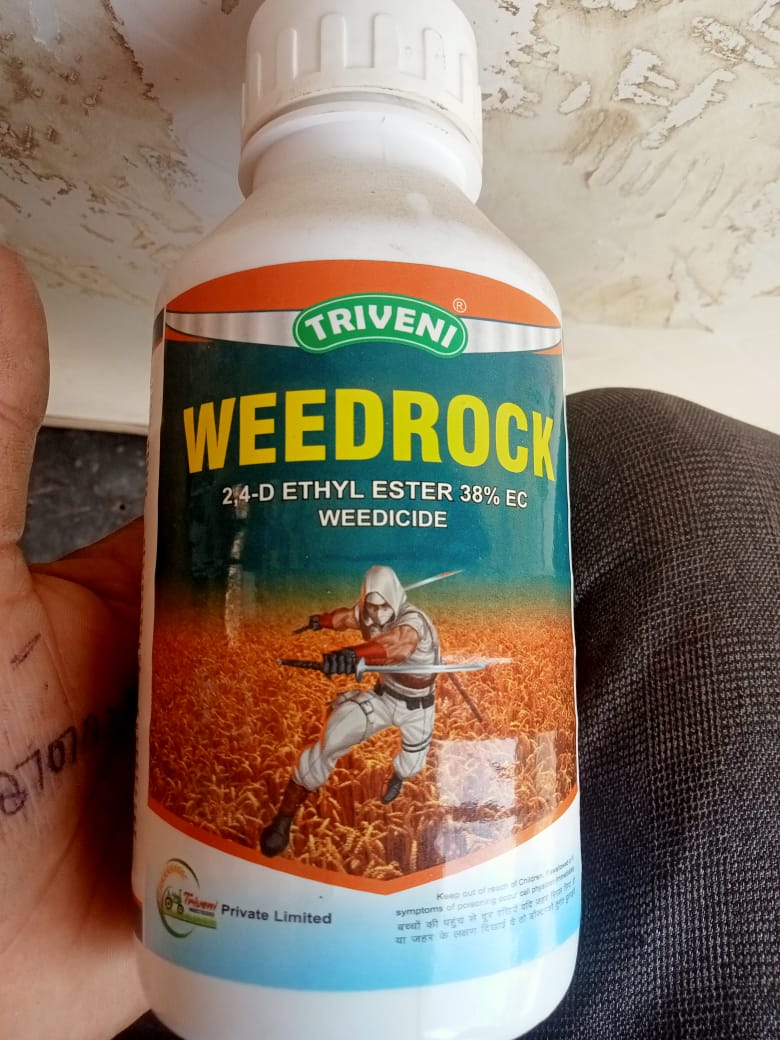 weedrock