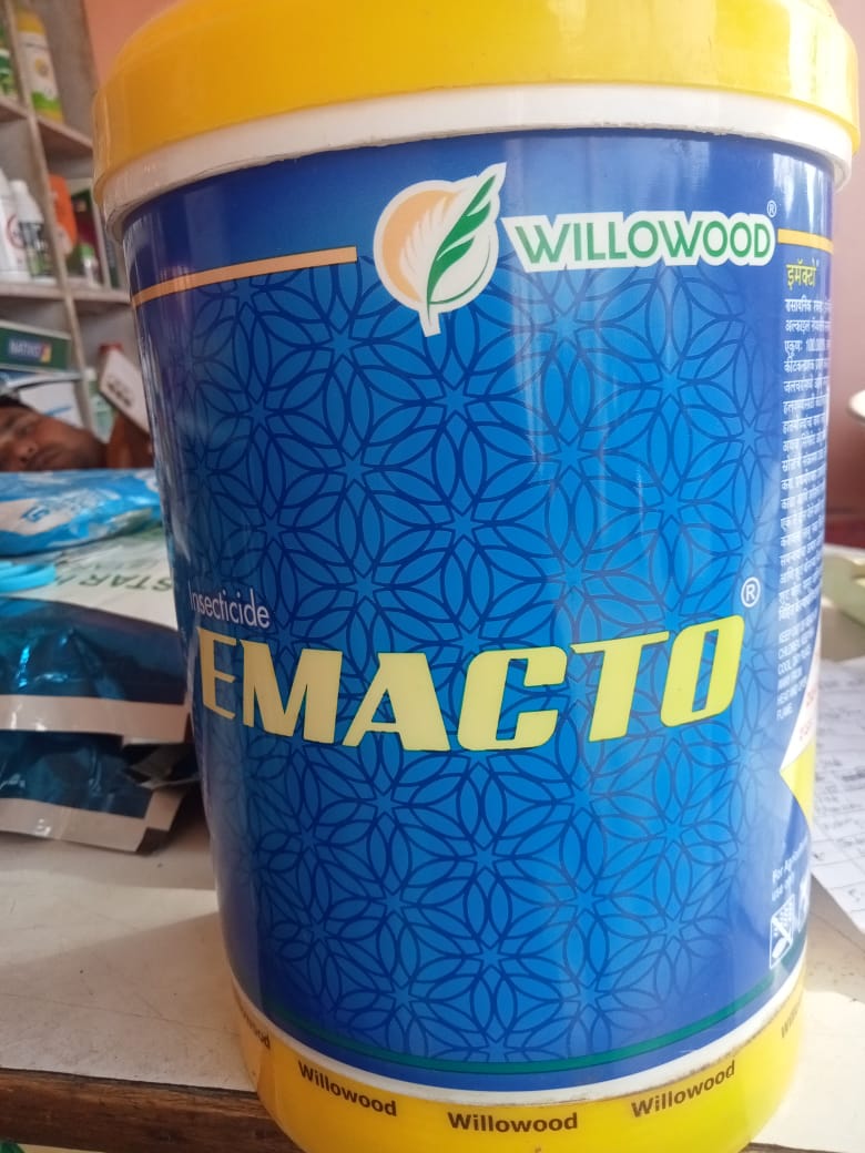 Emacto