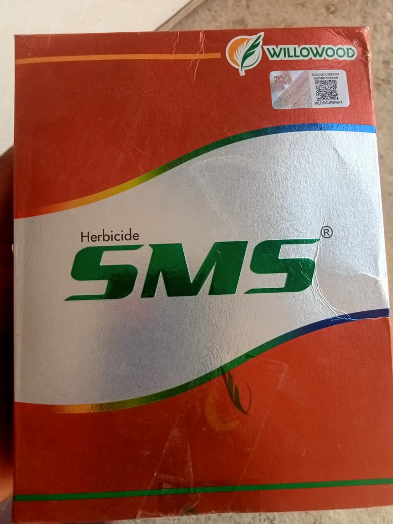 sms