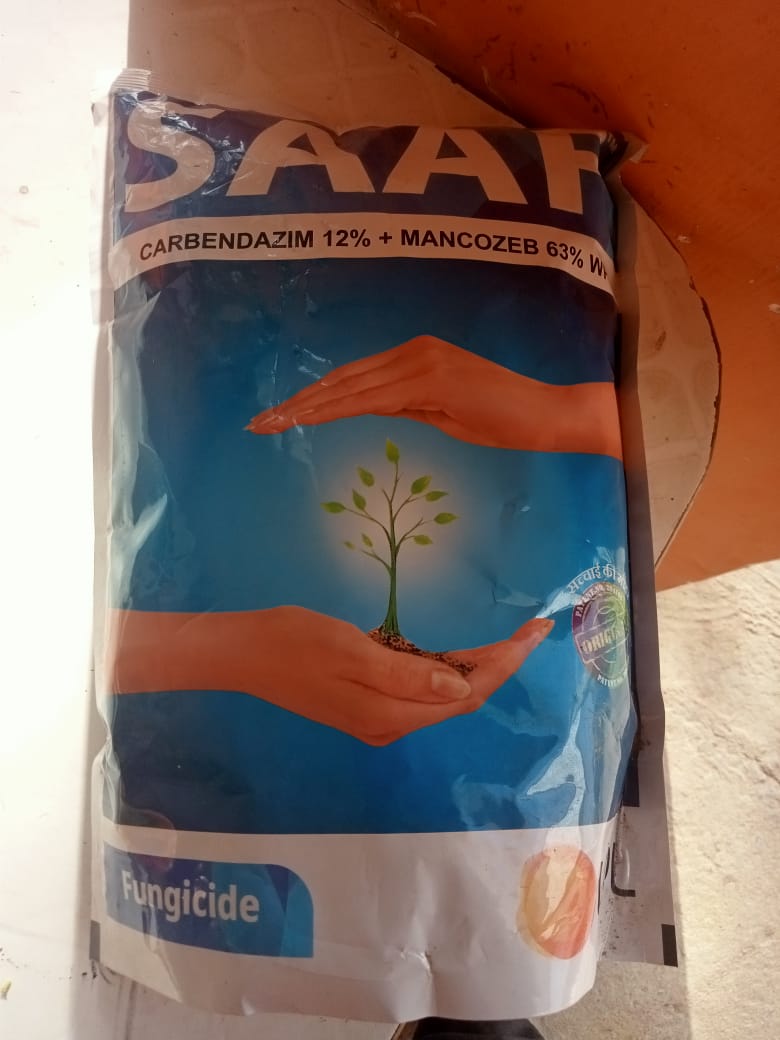 Saaf