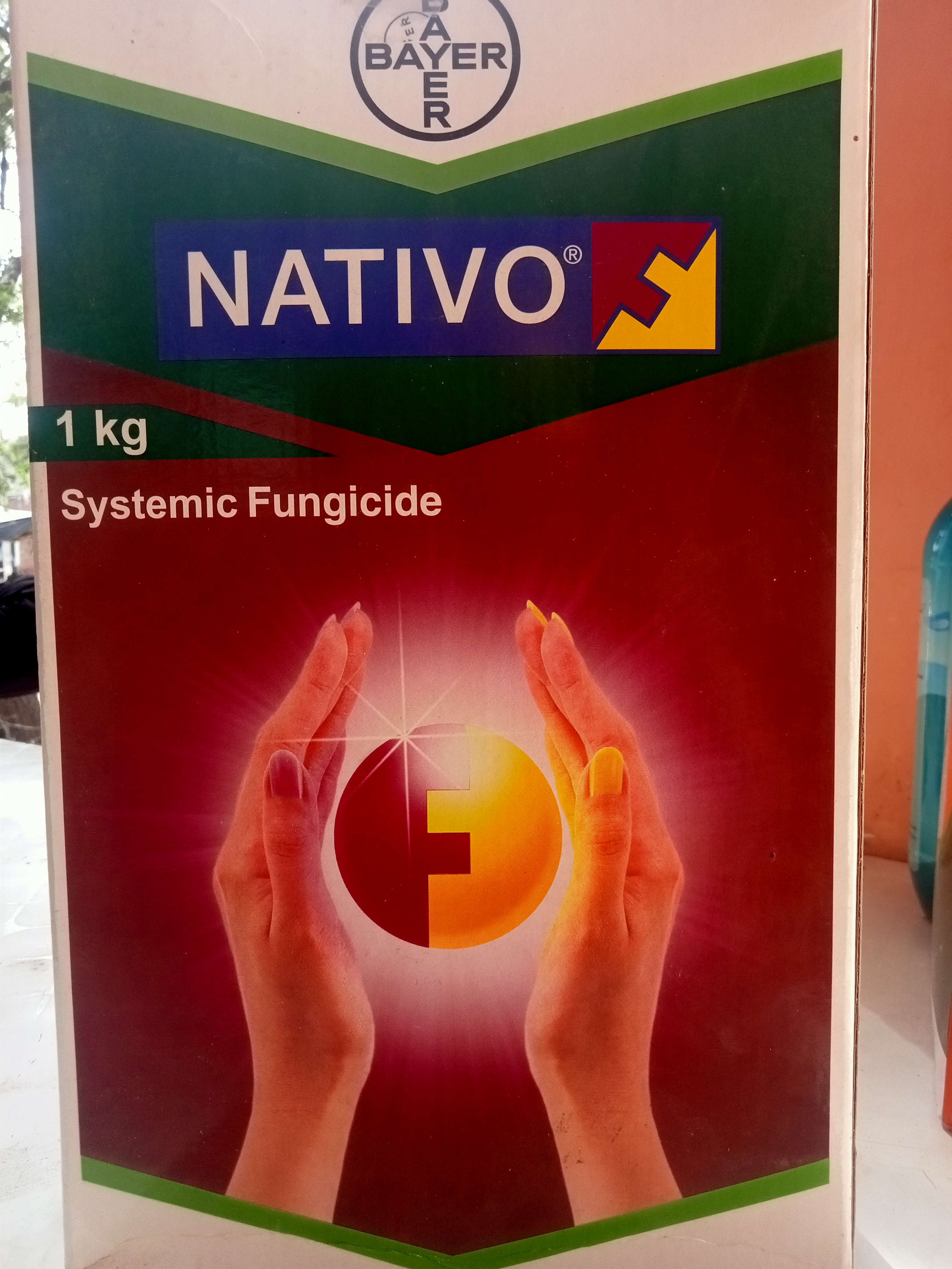 Nativo