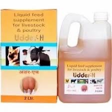 Udder H 