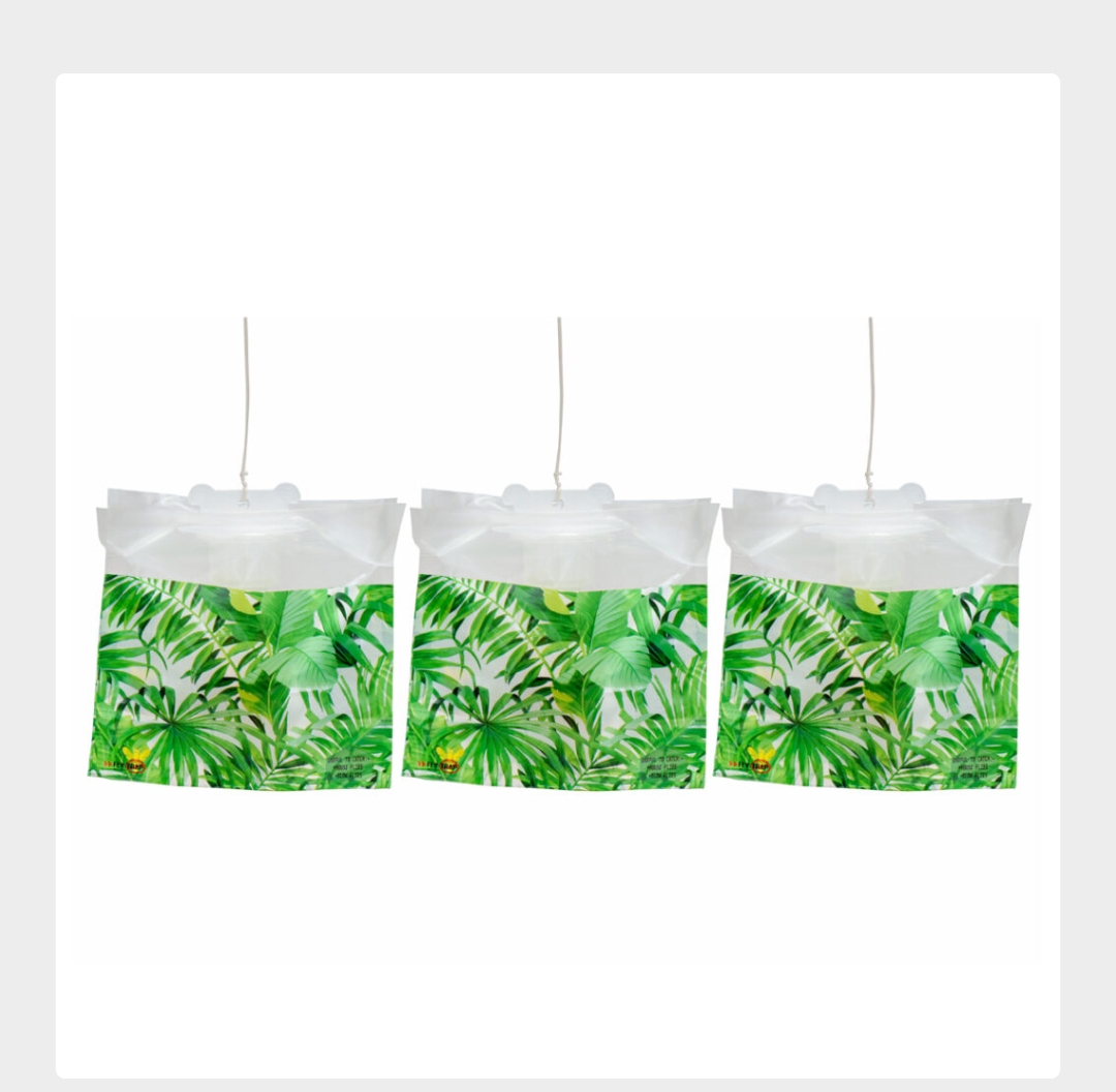 Fly Trap 
