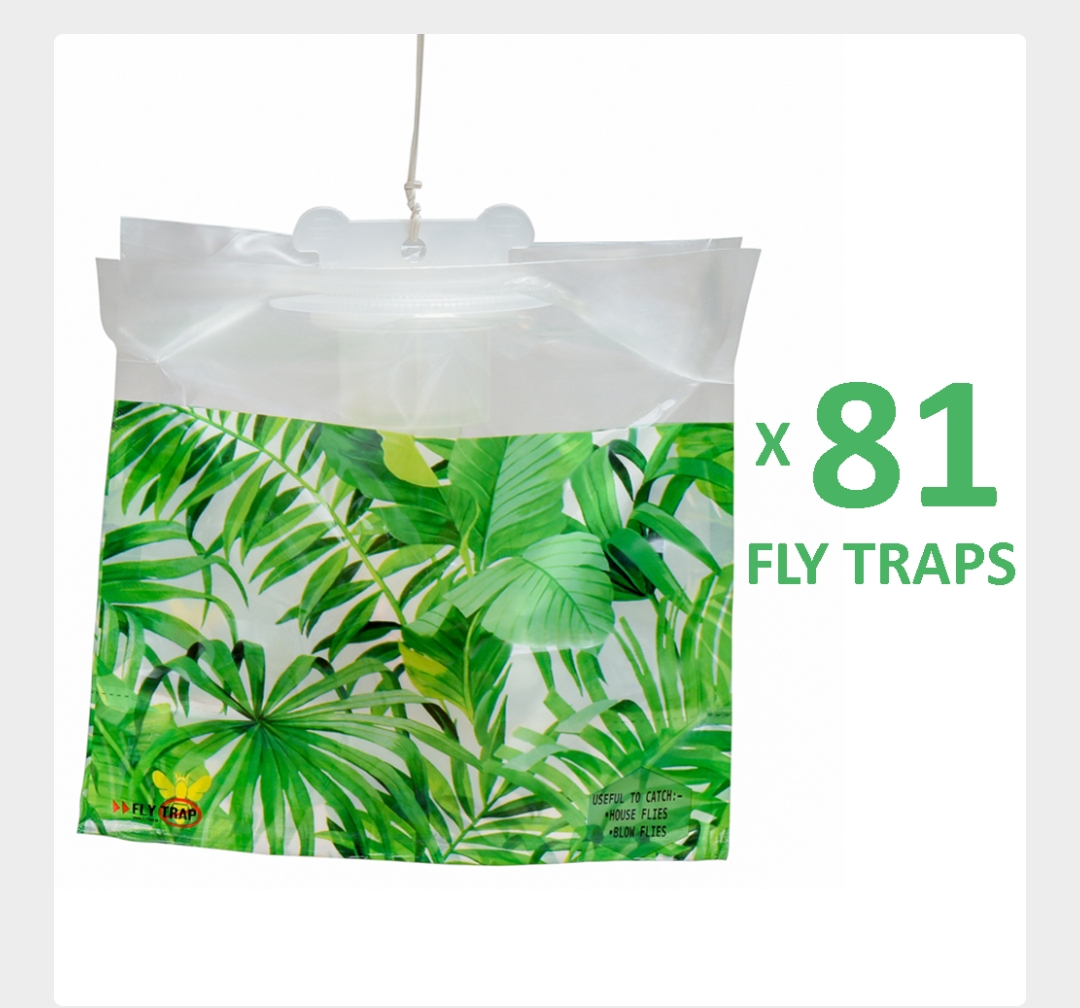 Fly Trap 