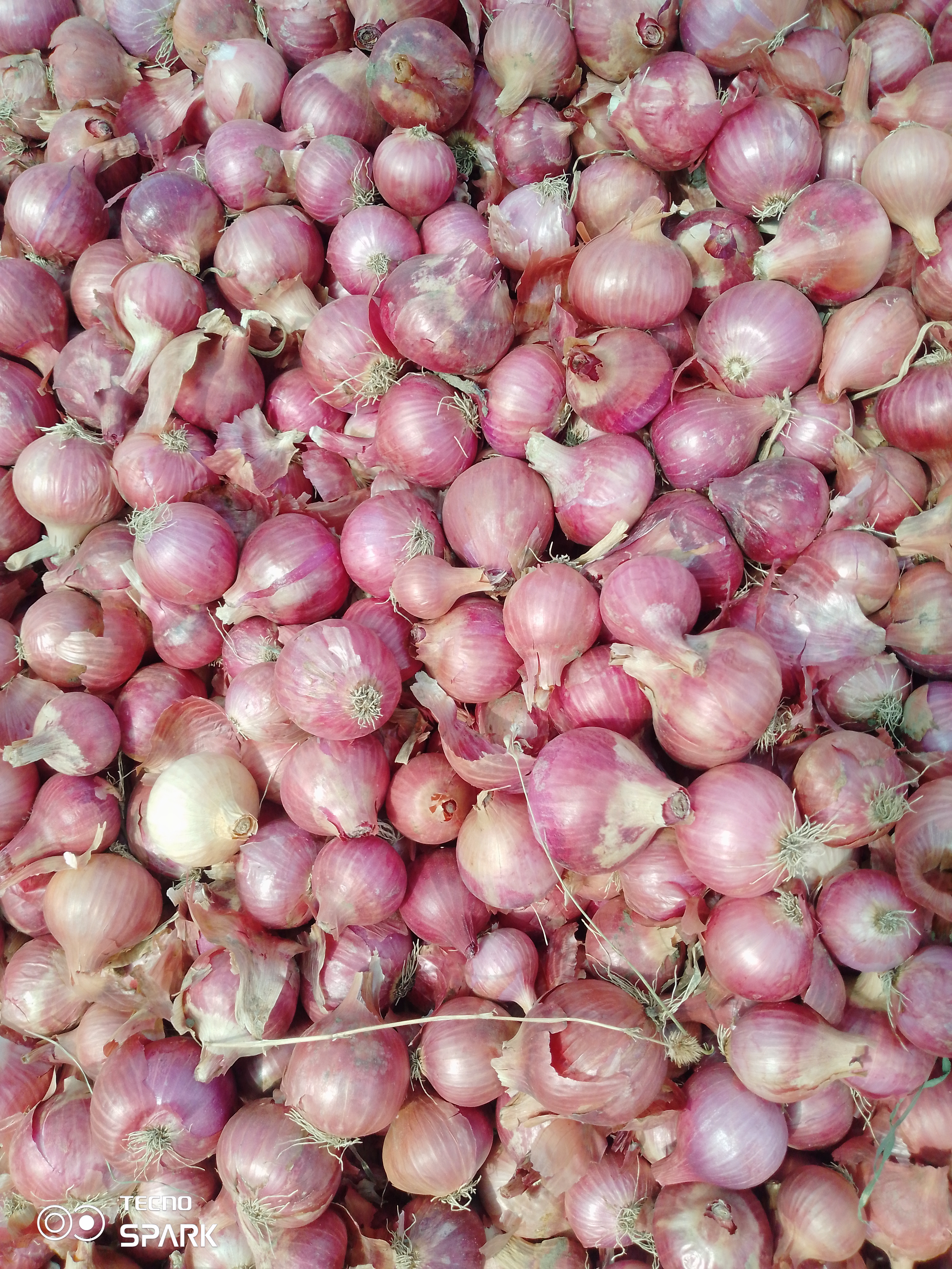 pyaj