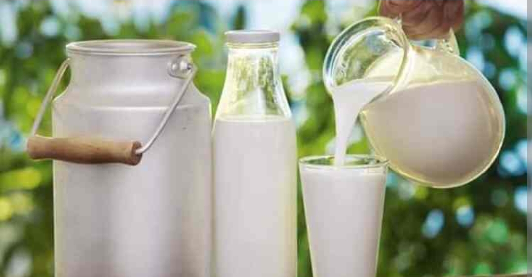 Cow Milk