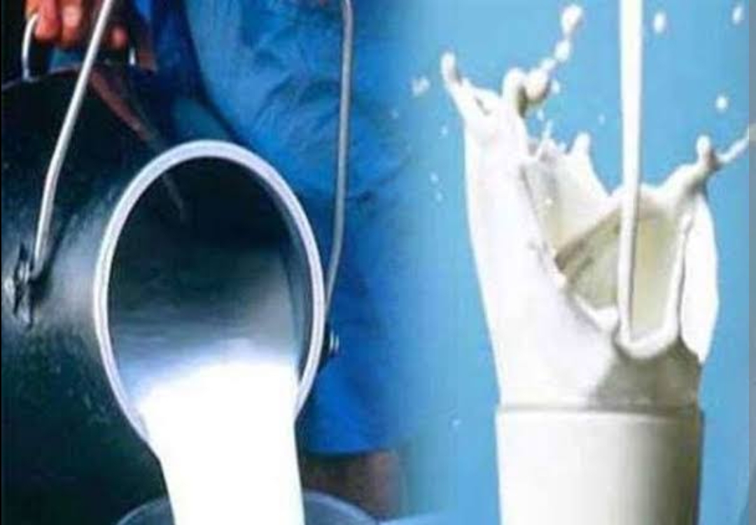 Milk
