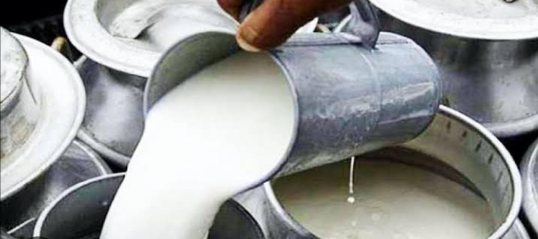milk {Doodh}
