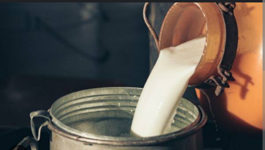 milk/dhoodh