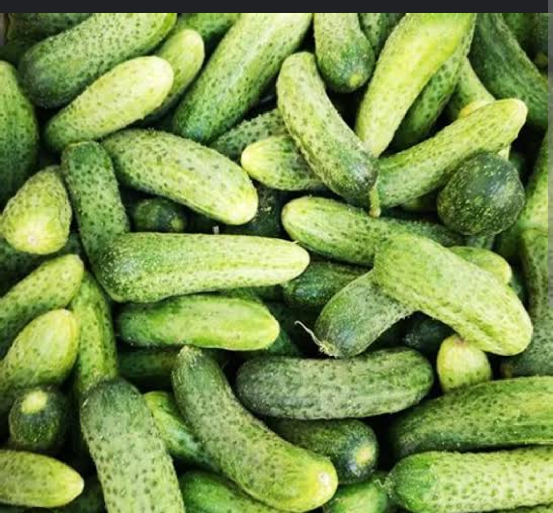Seasonal Vegetable - Cucumber