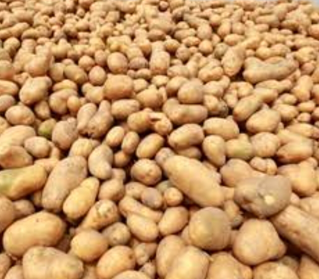Desi Aloo