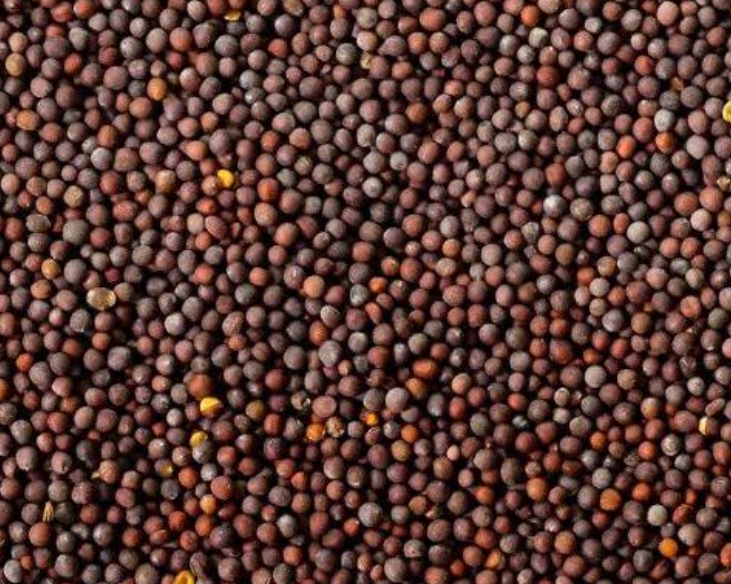 Mustard Seeds