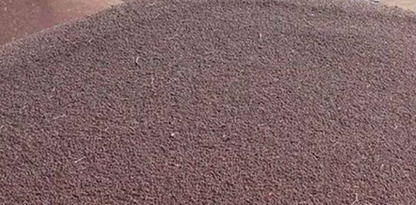 Mustard Seeds