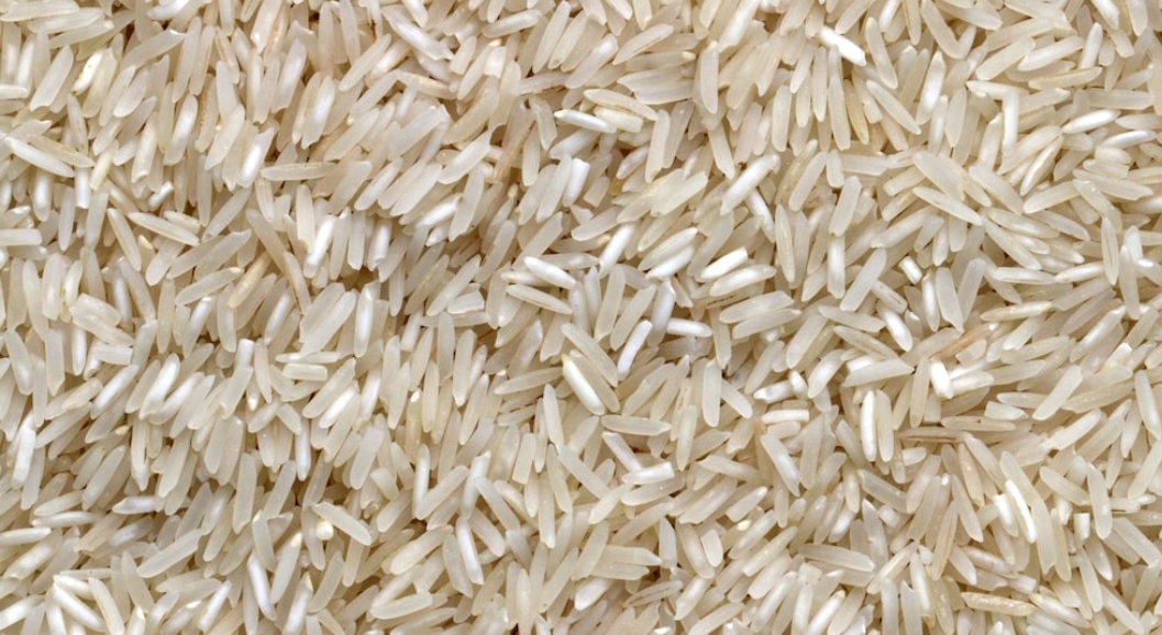 Rice 1121
