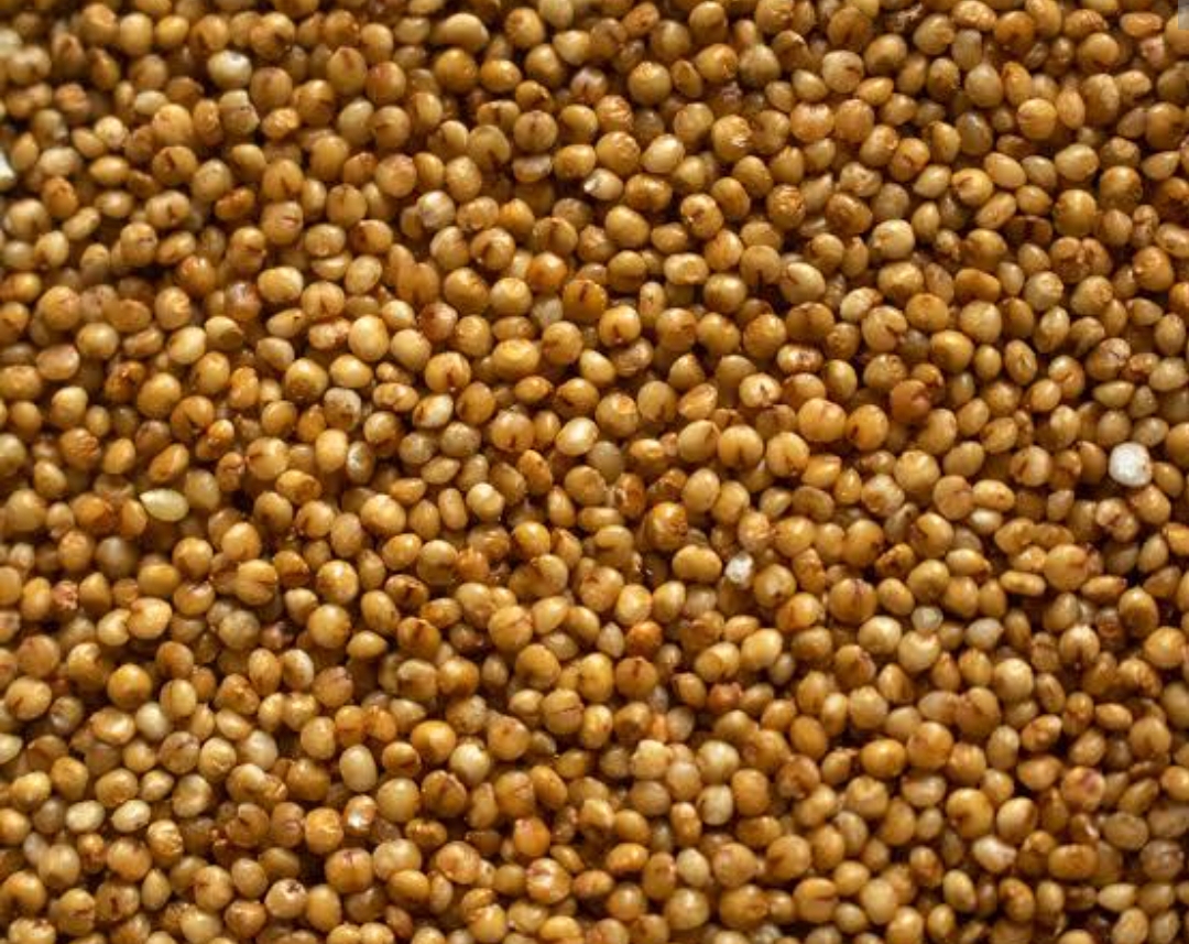 Kodo Millet