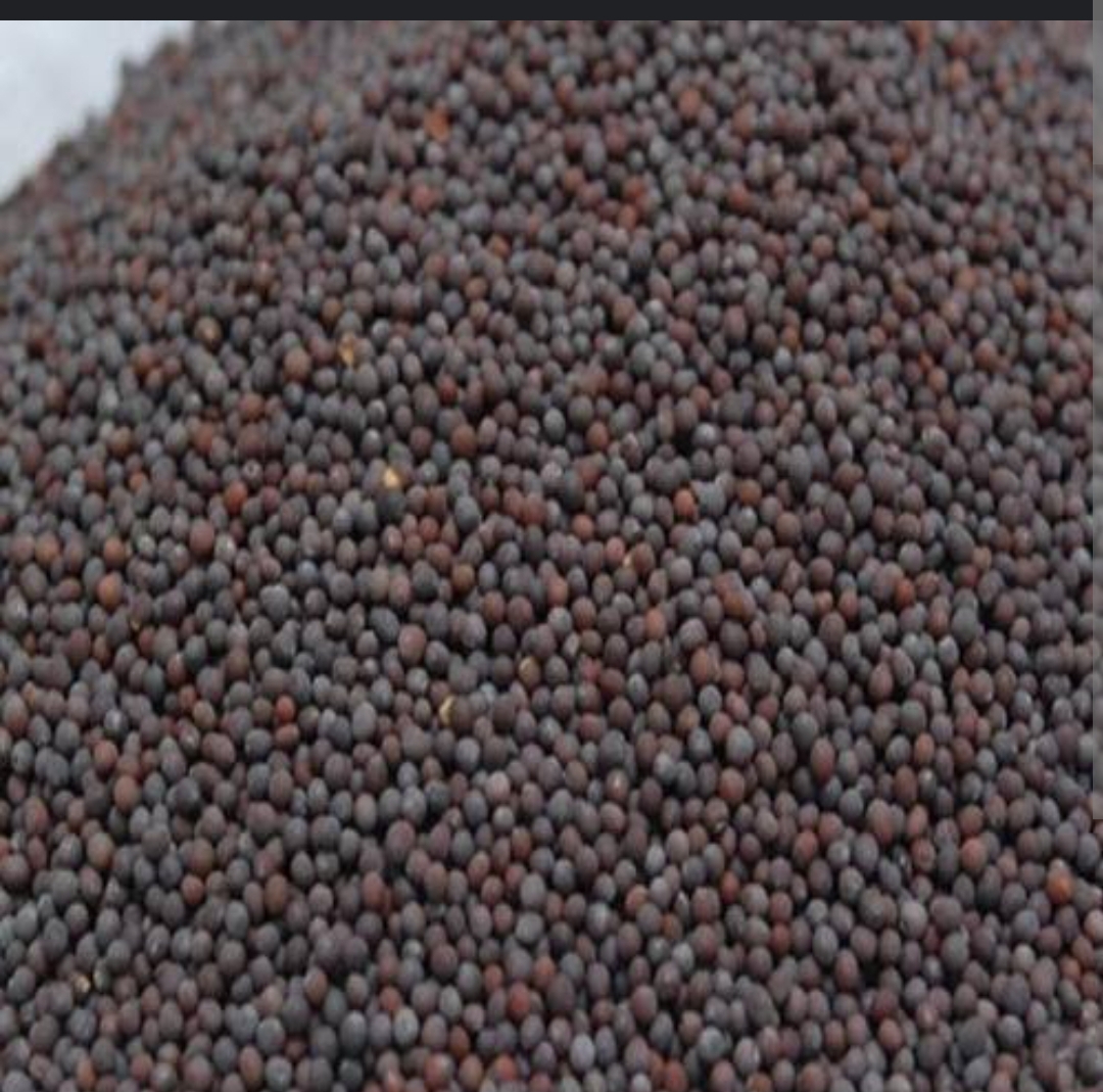 Mustard Seeds