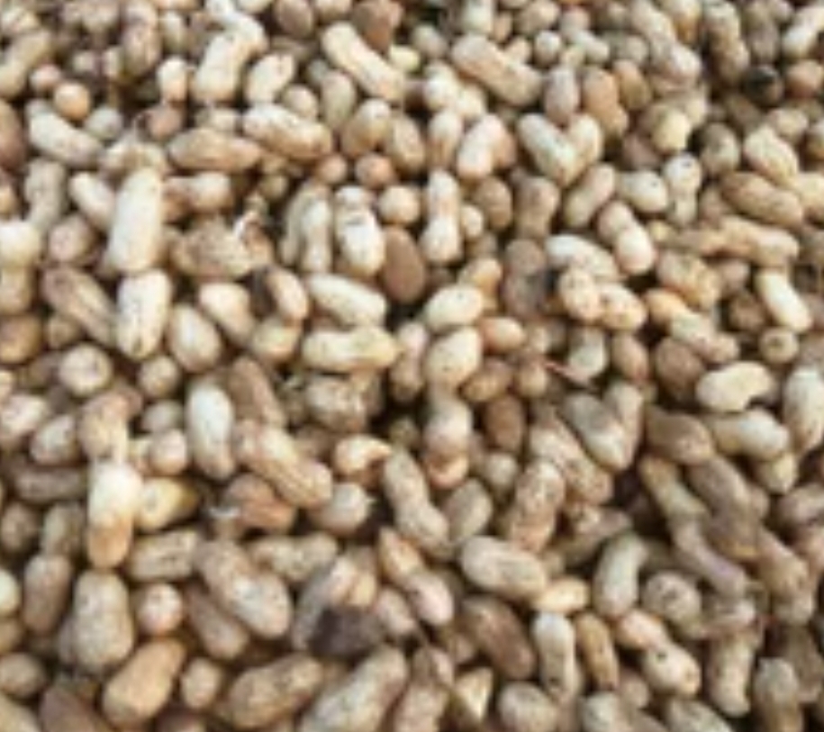 Groundnuts