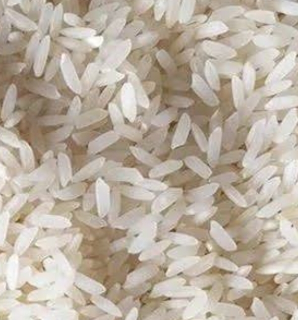 Rice 1121