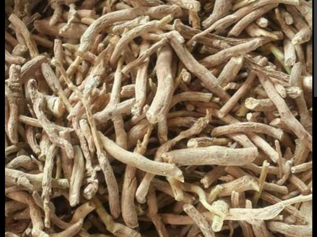 Ashwagandha Root