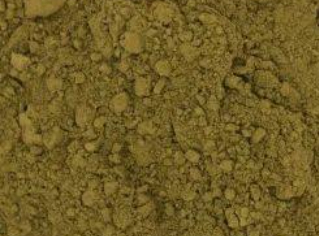 Tulsi ( Powder Forum) 