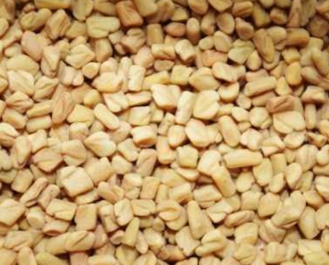 Fenugreek Seeds
