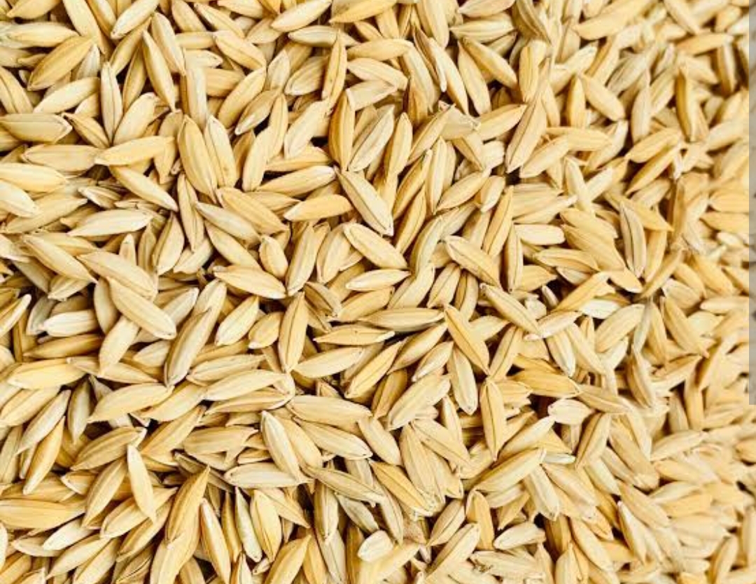 Rice Seeds